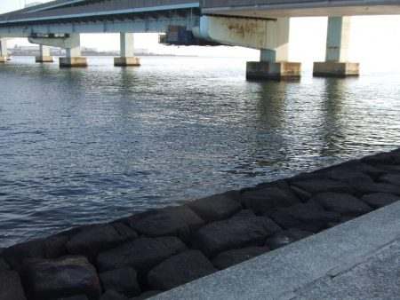 今期初チヌも、ロッド破損